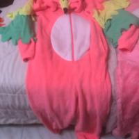 Vestiti Carnevale vari