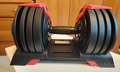 Coppia di manubri regolabili Kingsgym 24kg