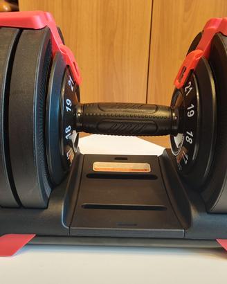 Coppia di manubri regolabili Kingsgym 24kg