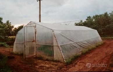 Serra componibile per ortaggi o fiori 