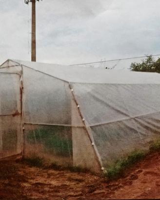 Serra componibile per ortaggi o fiori 