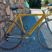 bicicletta da strada 