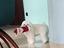Immagine 2