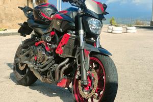 Yamaha MT07 Moto Cage
