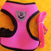 Pettorina rosa con guinzaglio per cani e gatti 