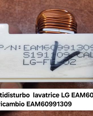 filtro antidisturbo  lavatrice LG EAM60991309