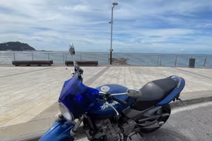 honda hornet  600