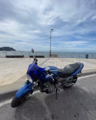 honda hornet  600