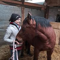 PULEDRA APPENNINICA 2 anni e mezzo