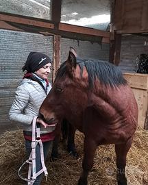 PULEDRA APPENNINICA 2 anni e mezzo