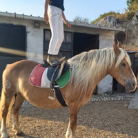 Diversamente abili e bambini