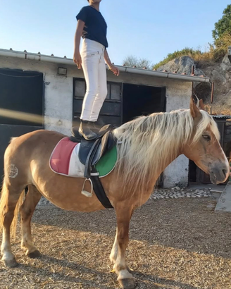 Diversamente abili e bambini