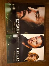 CSI crime scene investigation stagione 8
