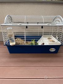 Gabbia per porcellino d’india