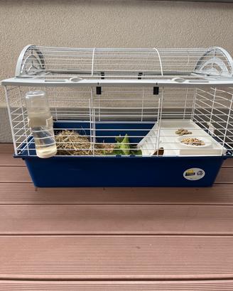 Gabbia per porcellino d’india