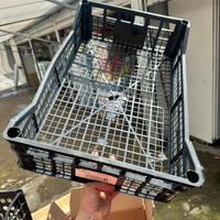 Cassette ortofrutta a lotti