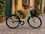Immagine 1
