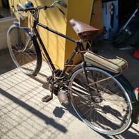 mosquito anni 70