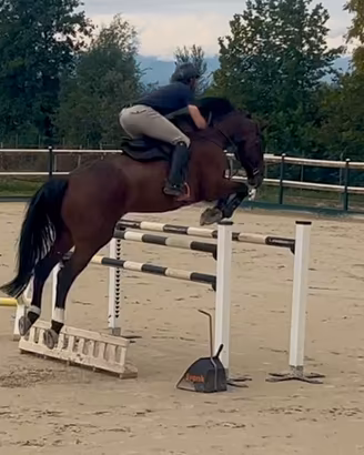 8 anni, classificato 145cm, adatto ai principianti
