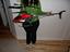 Immagine 5