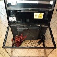 Acquario 30L