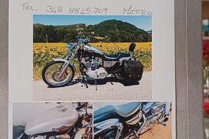 Harley Davidson 883