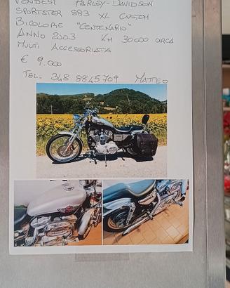Harley Davidson 883