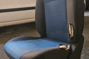 sedile auto 