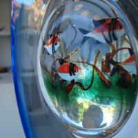 Acquarius  vetro soffiato Murano La Murrina