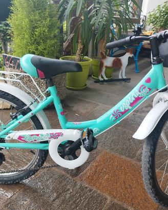 Bicicletta 
