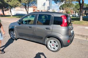 PANDA IBRIDA