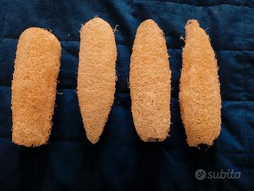 Luffe (spugne vegetali)