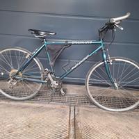 specialized rockhopper ruote del 26