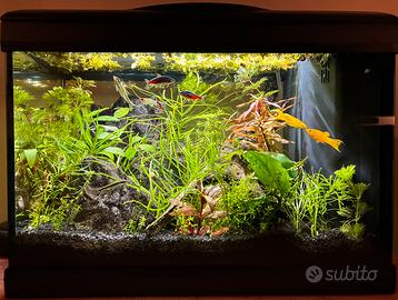 Acquario Nuovo, Completo,Montaggio e Avvio inclusi