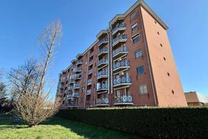 Appartamento - Alessandria