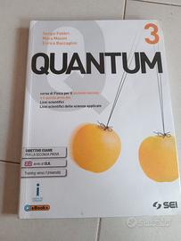 Quantum 3