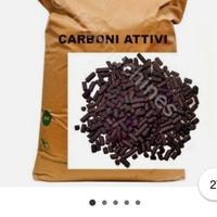 Carboni attivi