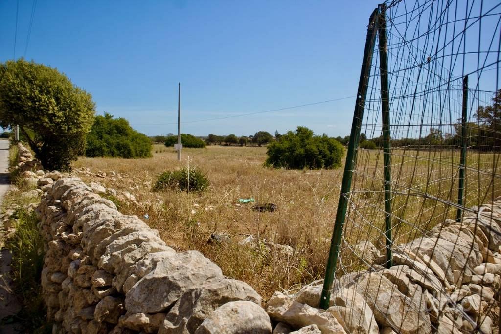 Terreno di 17085 m² a Santa Croce Camerina - Vista 3