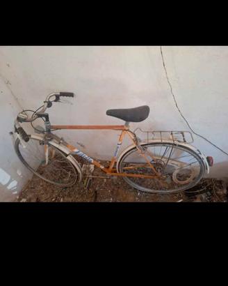 biciclette