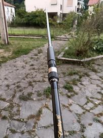 canne carpfishing century 