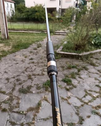 canne carpfishing century 