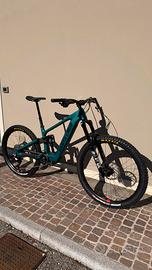 Bullit Santa Cruz