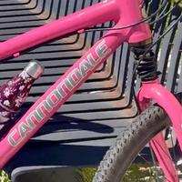 MTB CANNONDALE”CAFFEINE”HANDMADE USA ( RUOTA 26’