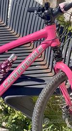 MTB CANNONDALE”CAFFEINE”HANDMADE USA ( RUOTA 26’