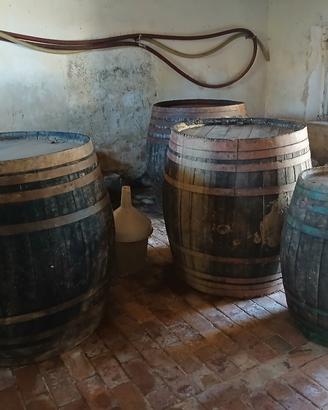 torchio e botti