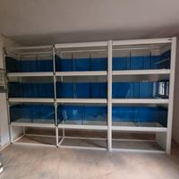 Batteria uccelli, acquario, terrario per negozi