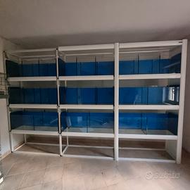 Batteria uccelli, acquario, terrario per negozi