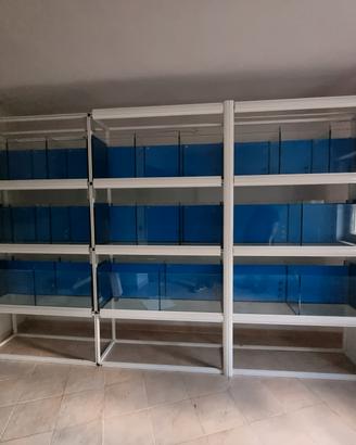 Batteria uccelli, acquario, terrario per negozi