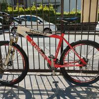 Mountain bike