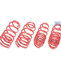 KIT MOLLE SPORTIVI PER ROVER